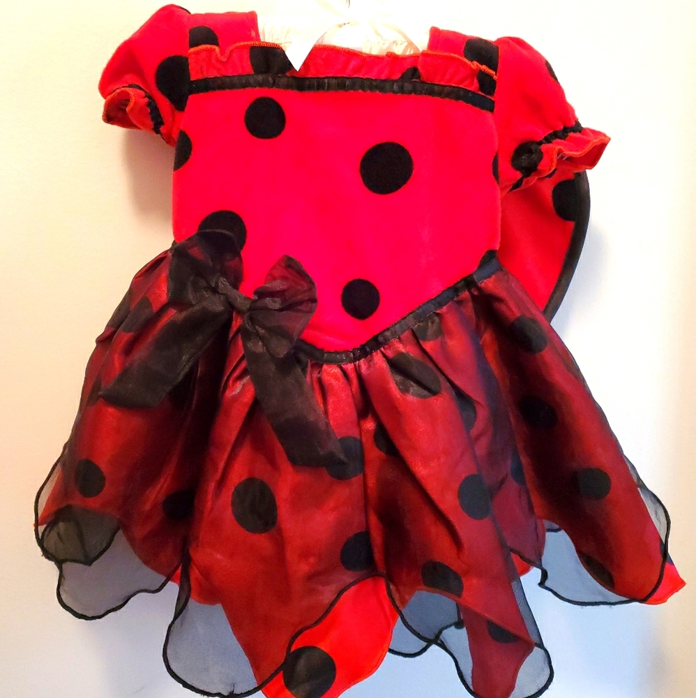 Koala Kids Ladybug Halloween Costume